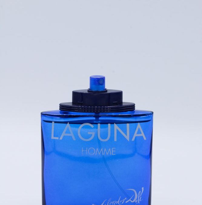 Salvador Dalí Laguna Homme EDT 100ml