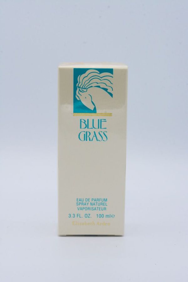 Blue Grass by Elizabeth Arden, 3.3 oz EDP Spray for Women main image 0