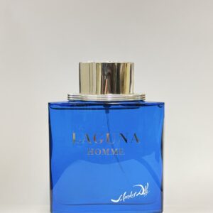 Salvador Dalí Laguna Homme EDT 100ml