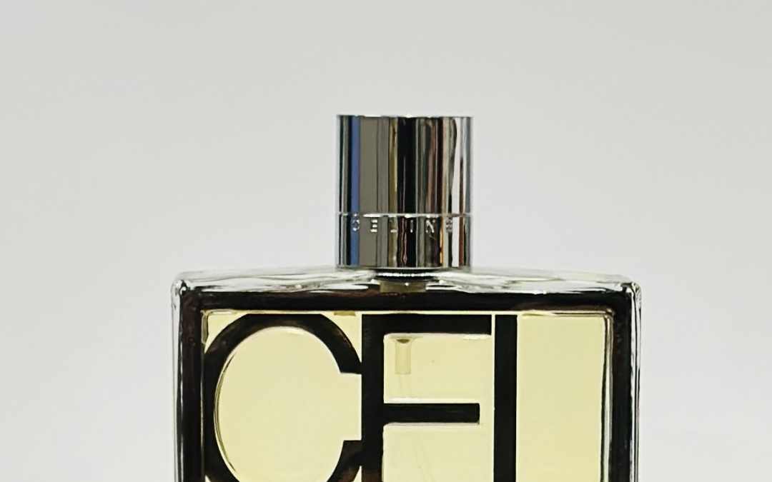 Celine Pour Homme EDT 100ml
