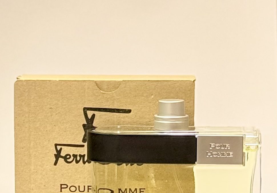 F by Salvadore Ferragamo Pour Homme EDT 100ml